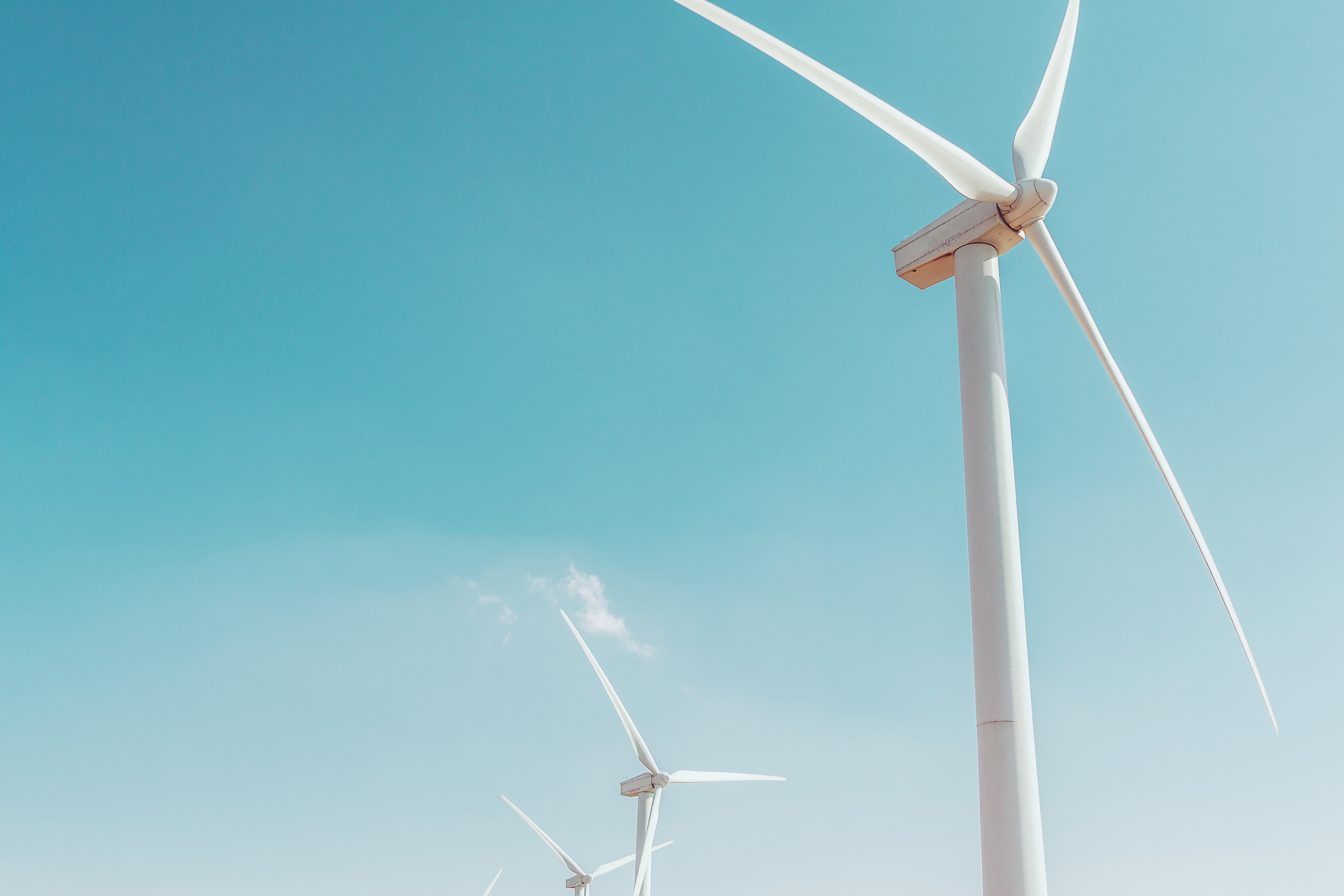 CFA team celebrating